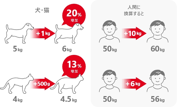 犬・猫の体重を人間に換算した時の図